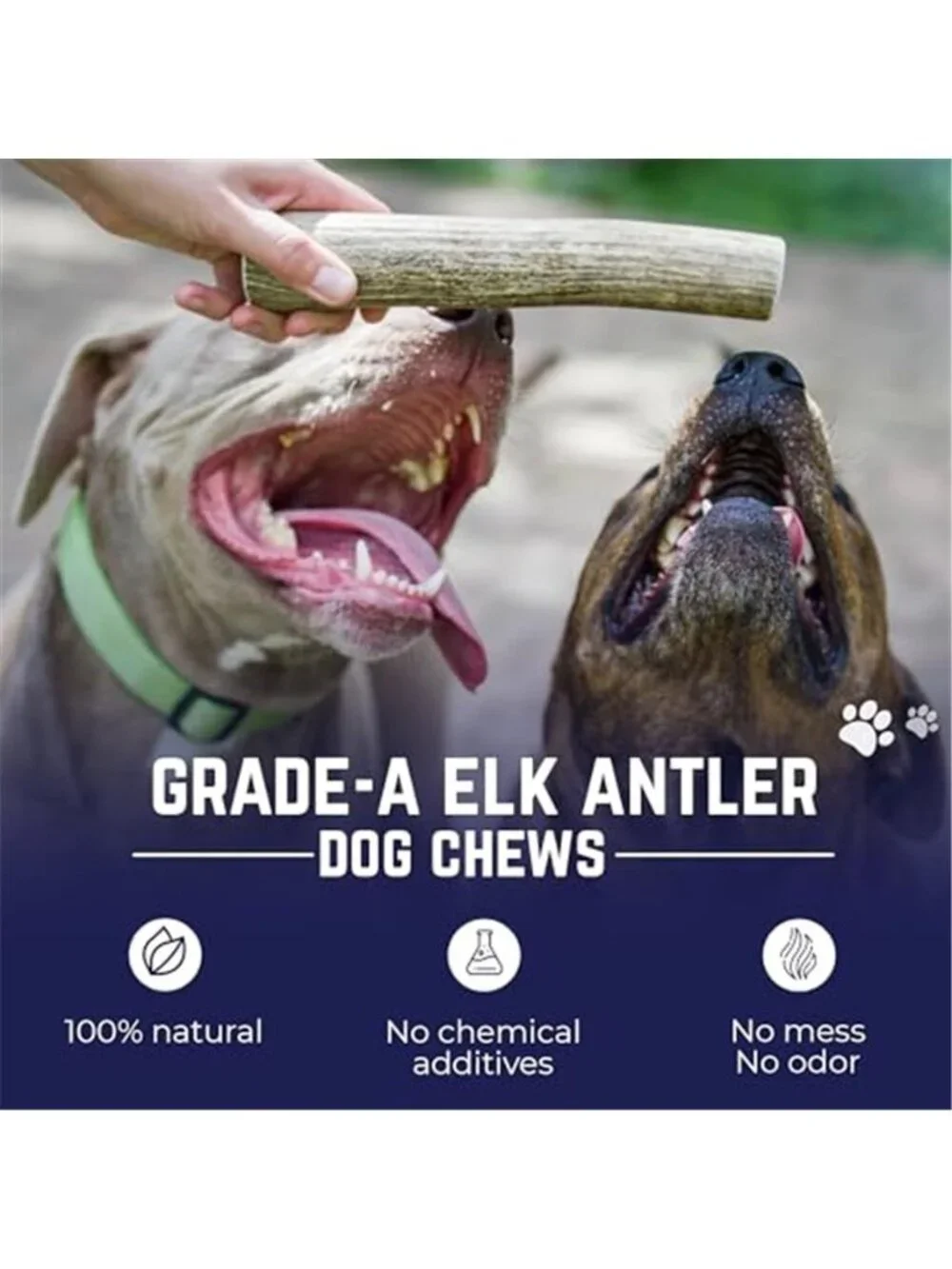 Elk Antlers for Dogs, Natural Dog Chew for Aggressive Chewers